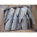 Nouvelle saison congelée Pacific Mackerel Filet Fish